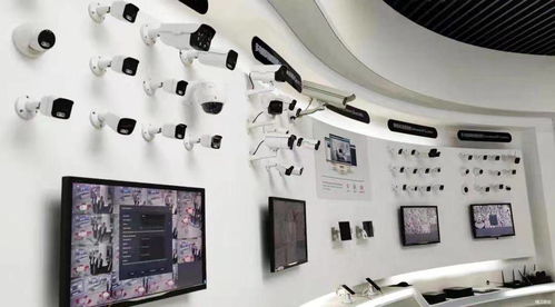 多方聯動，凝聚發展新動能 長視科技攜手阿里云精工，全面啟動數字工廠項目